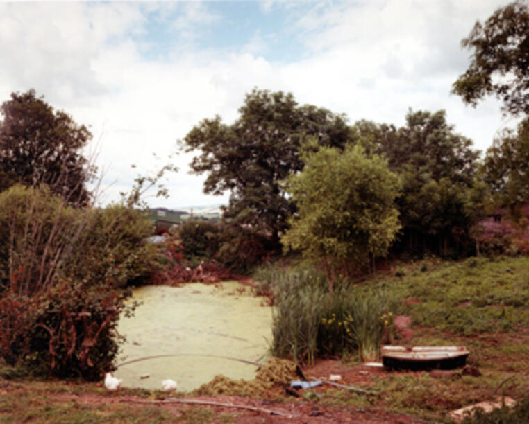 Jem Southam Upton Pyne | Wellesley College